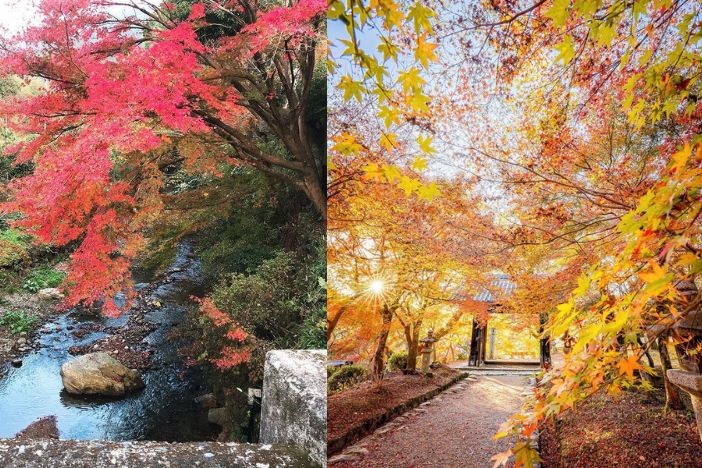 日本紅葉2022 日本旅遊賞楓懶人包 拍拖景點 紅葉打卡攻略